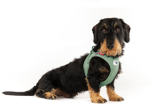 Air-Mesh Clasp Vest Hundegeschirr – Farbe Rose