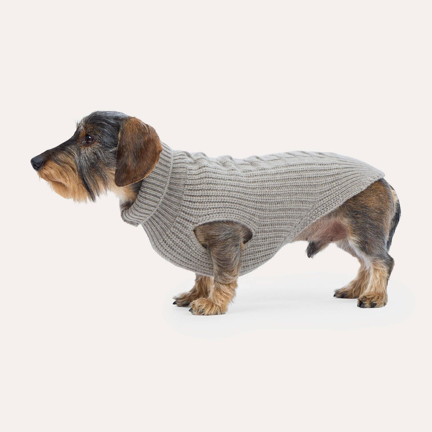 Cashmere Hundestrickpullover
