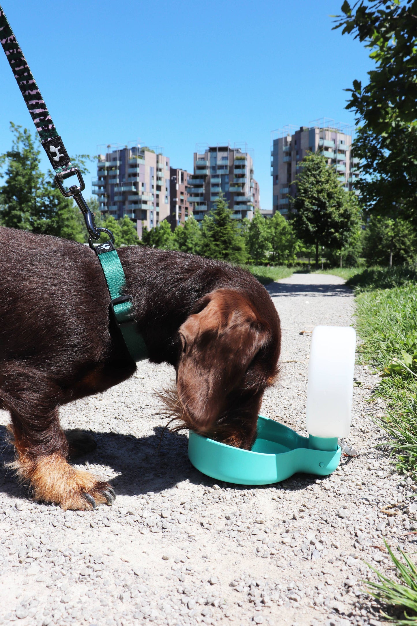 Designer-Reiseflasche für Hunde mit Tropfventil