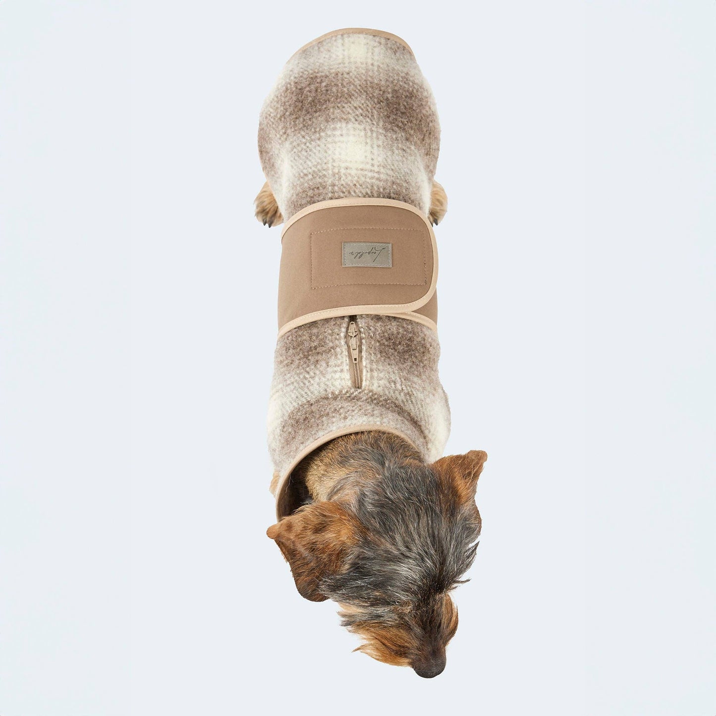 Hundemantel Loden Softshell Karo braun