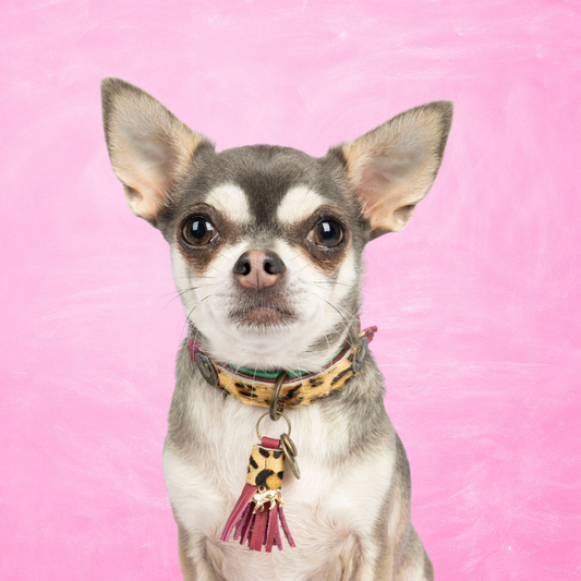 Lou Lou Halsband