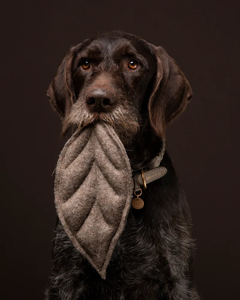 Mimmo Hundespielzeug „Magnolie“ - Natur