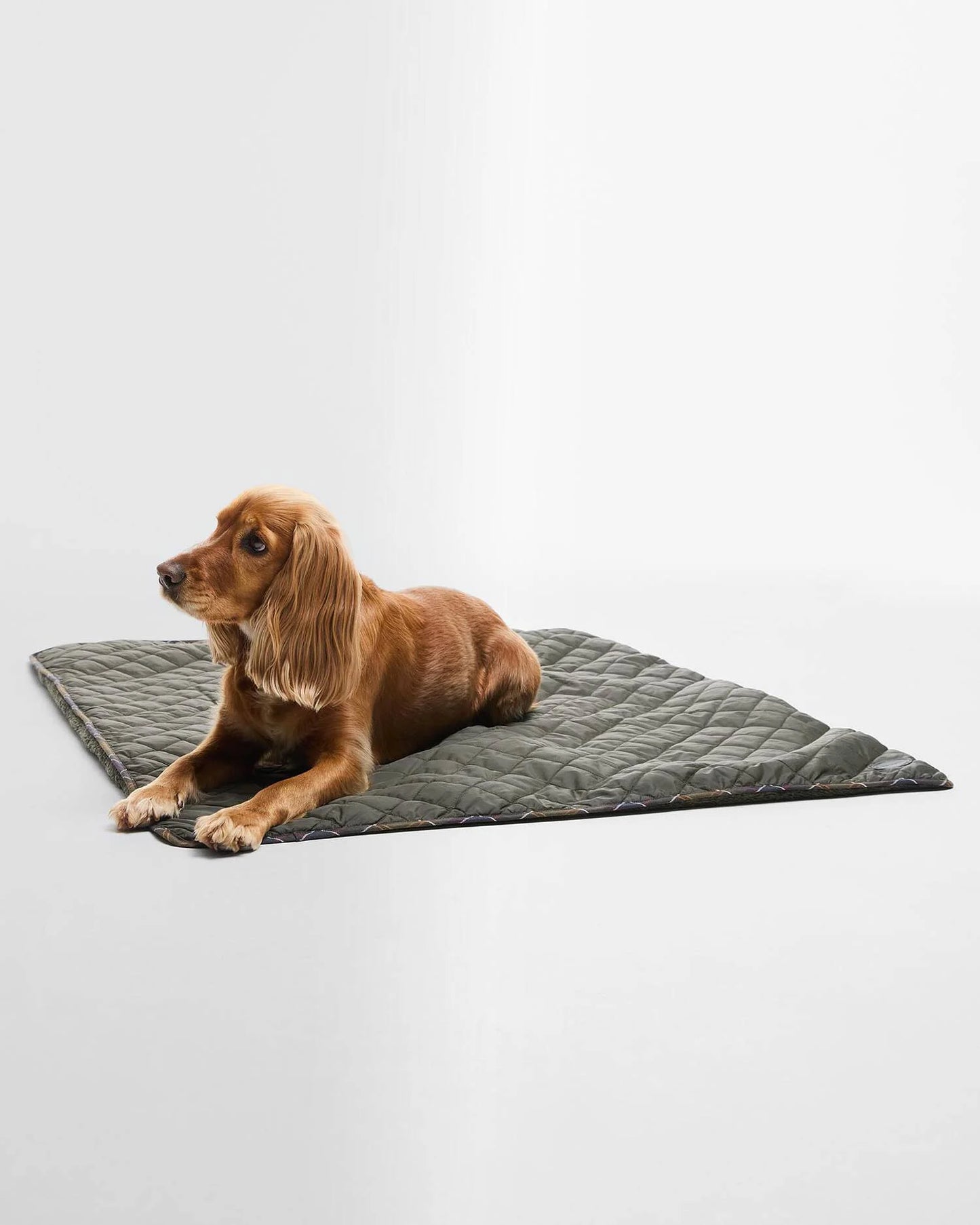 Quilted & Fleece Hundedecke - Farbe Olive