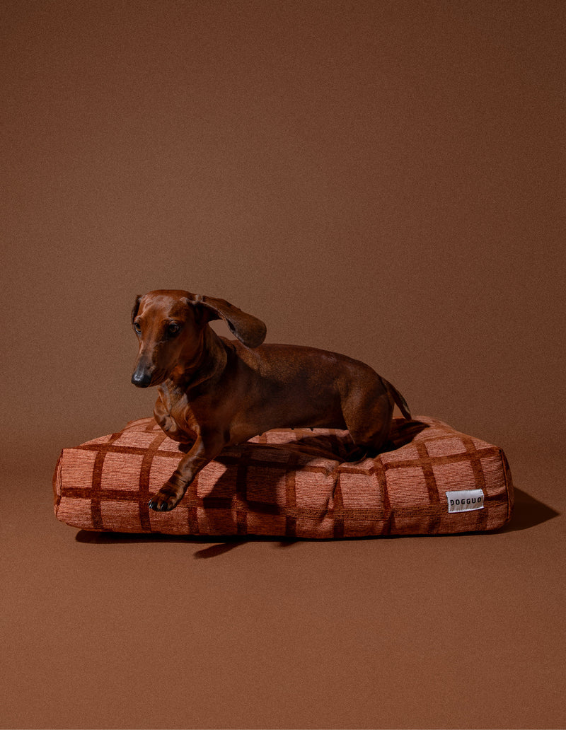 Check Orthopädisches Hundebett – Mocha, Waschbar