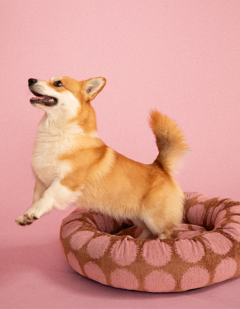Dot Rundes Orthopädisches Hundebett – Rosa/Braun, Waschbar