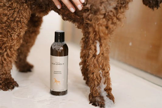 Shampoo Sensitive