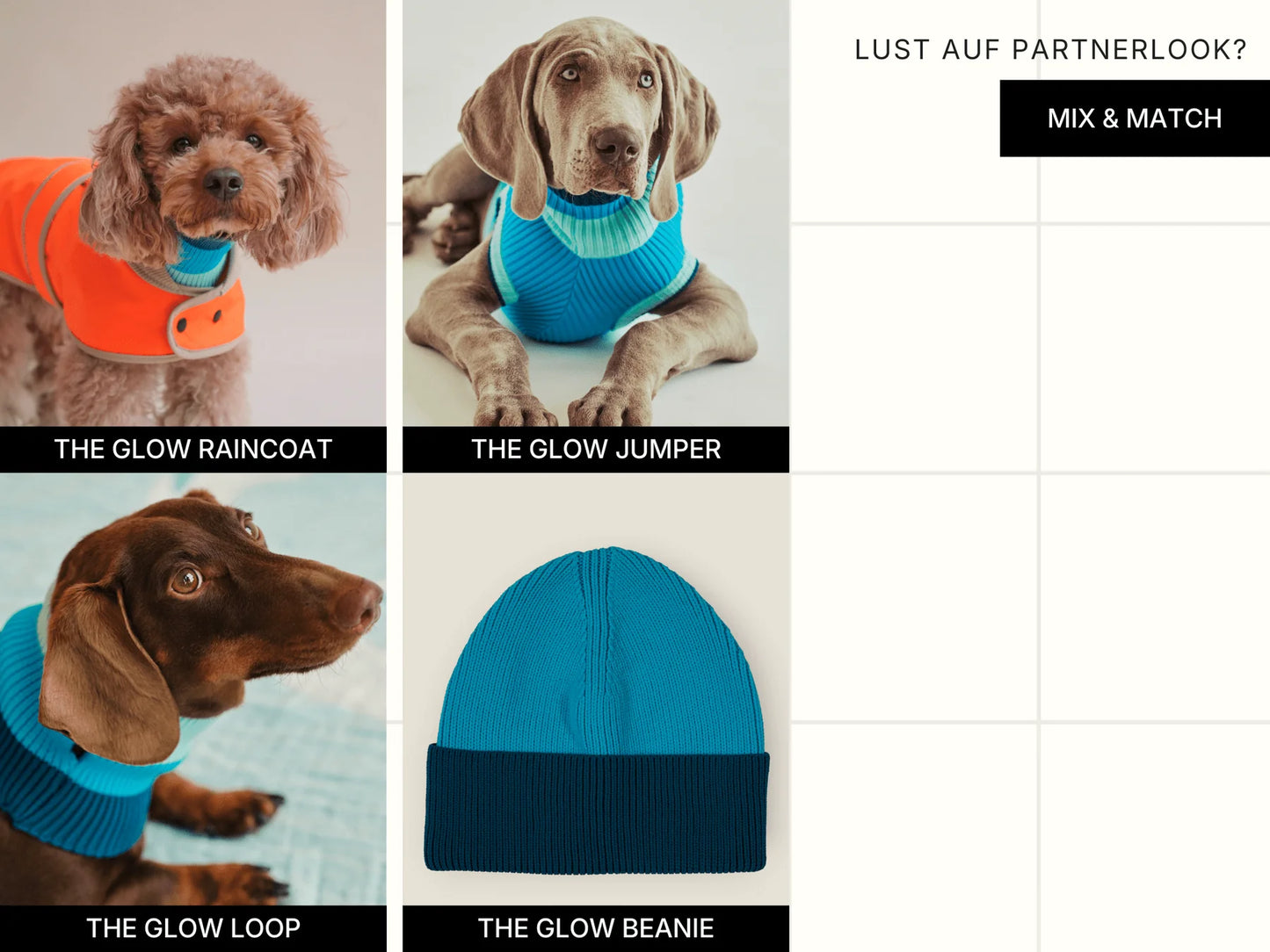 Glow Loop Neon Hundeschal – Crystal Sky (Blau/Hellblau)