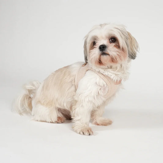 Saga Step-In Hundegeschirr – Farbe Light Rose