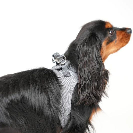Saga Step-In Hundegeschirr – Farbe Dusty Blue