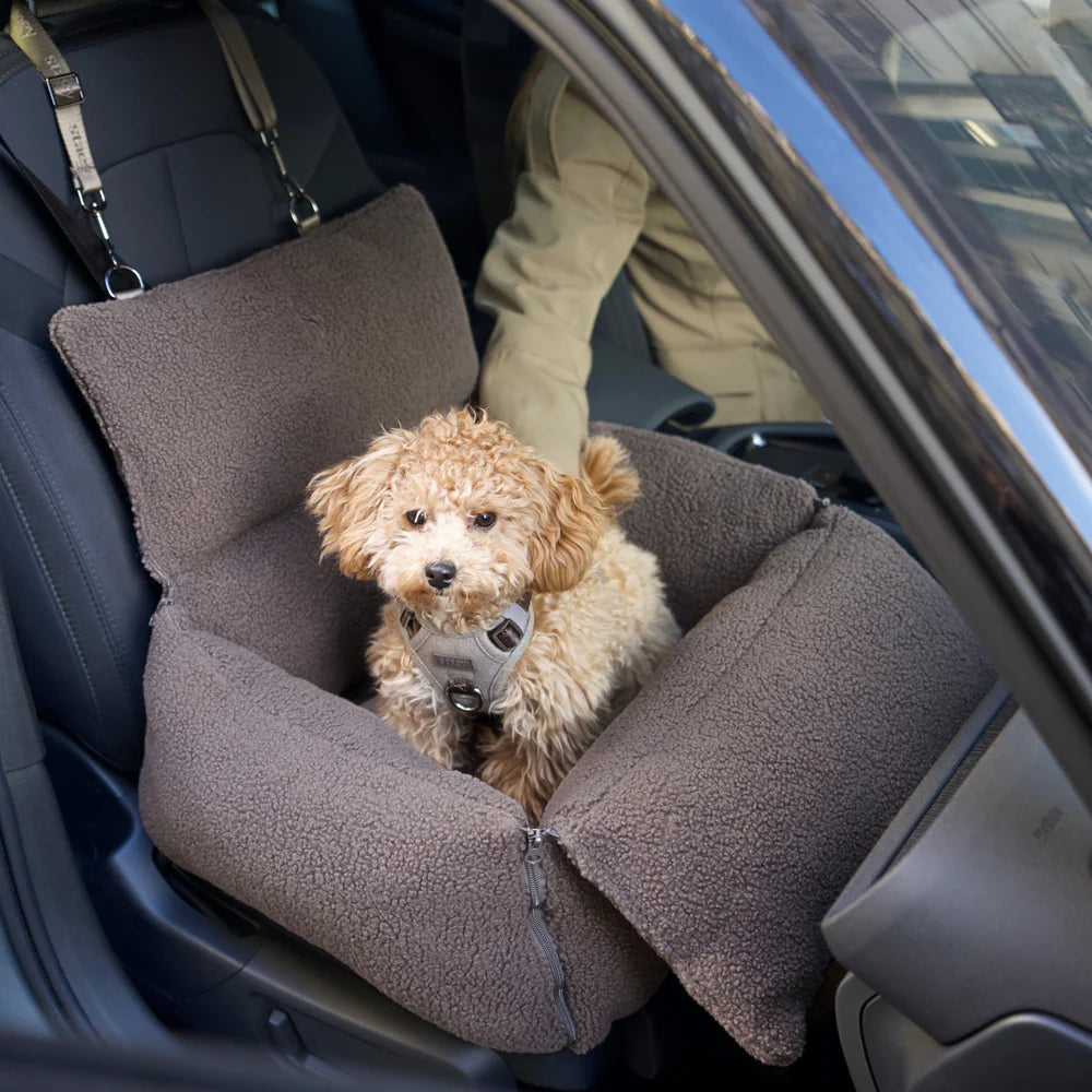 Clara 3-in-1 Hundeautositz – Limited Edition