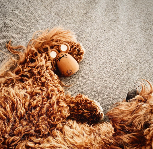 Tato Latexspielzeug für Hunde und Katzen