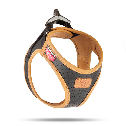Apple Leather Clasp Vest Hundegeschirr – Farbe Black