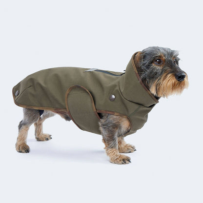 Hunderegenmantel Parka oliv