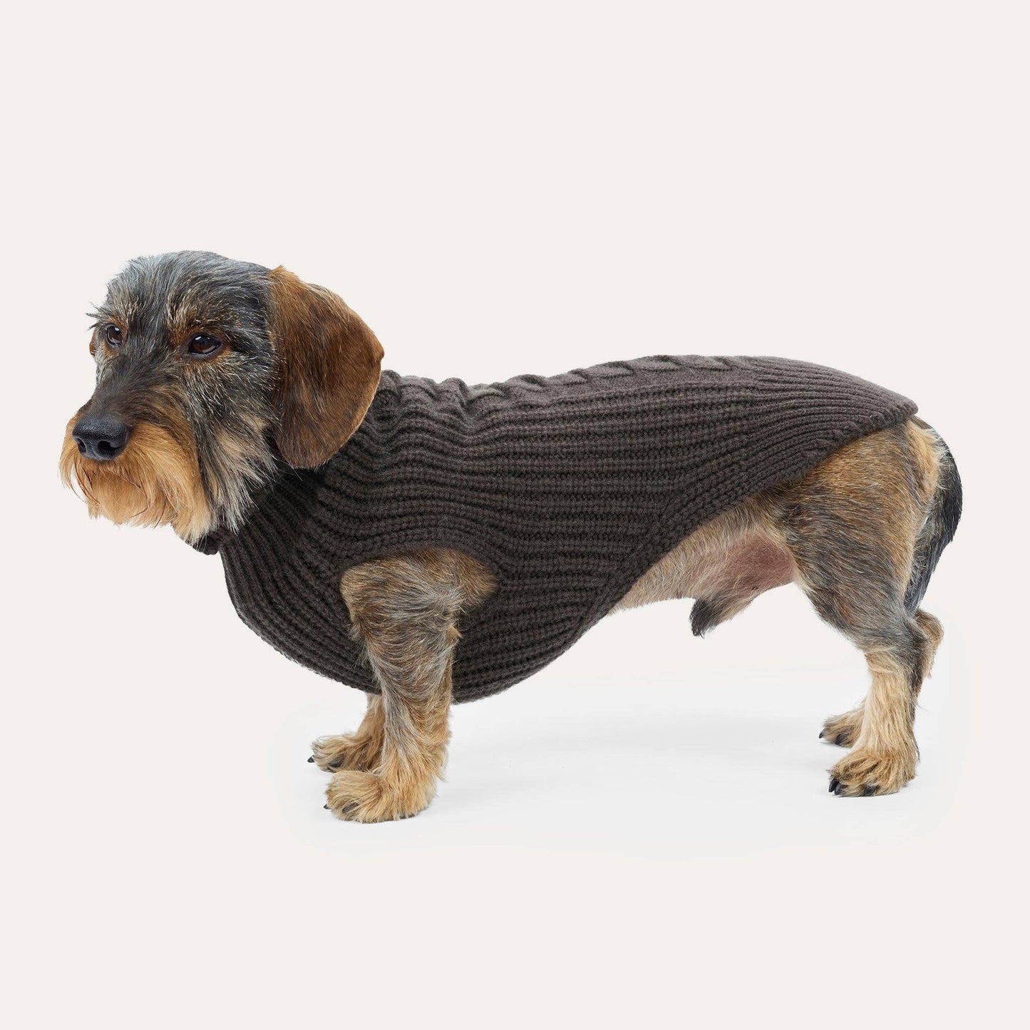 Cashmere Hundestrickpullover