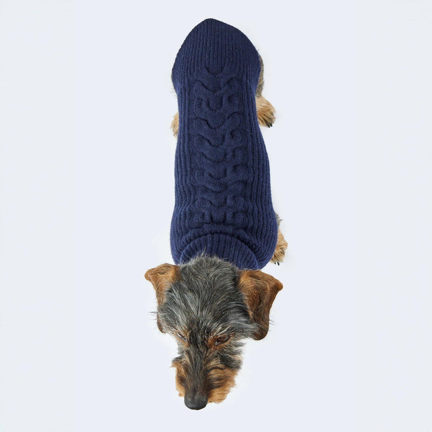 Hundestrickpullover dunkelblau