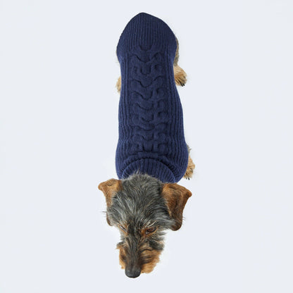 Hundestrickpullover dunkelblau