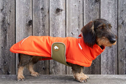 Dackel-Wintermantel Oskar in Pumpkin Orange: Orange / 4 | 44-49cm