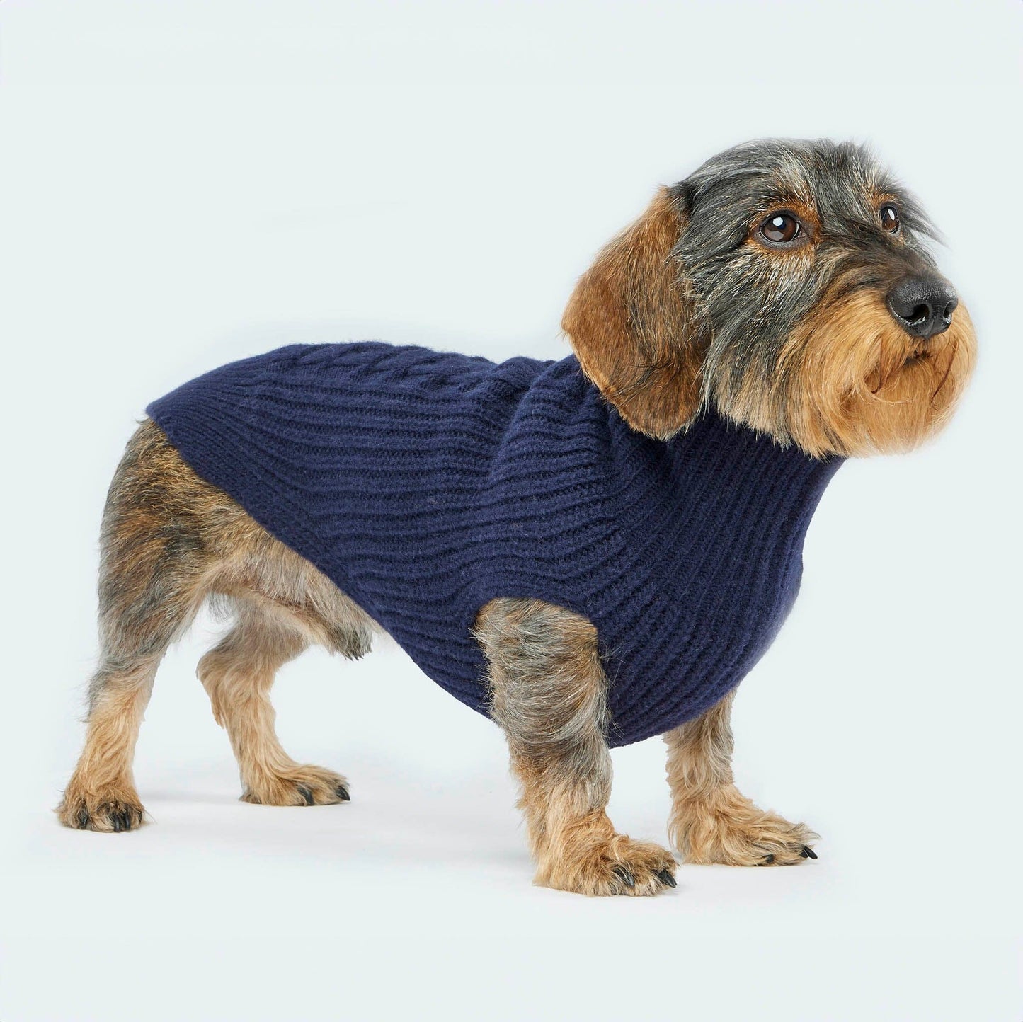 Hundestrickpullover dunkelblau