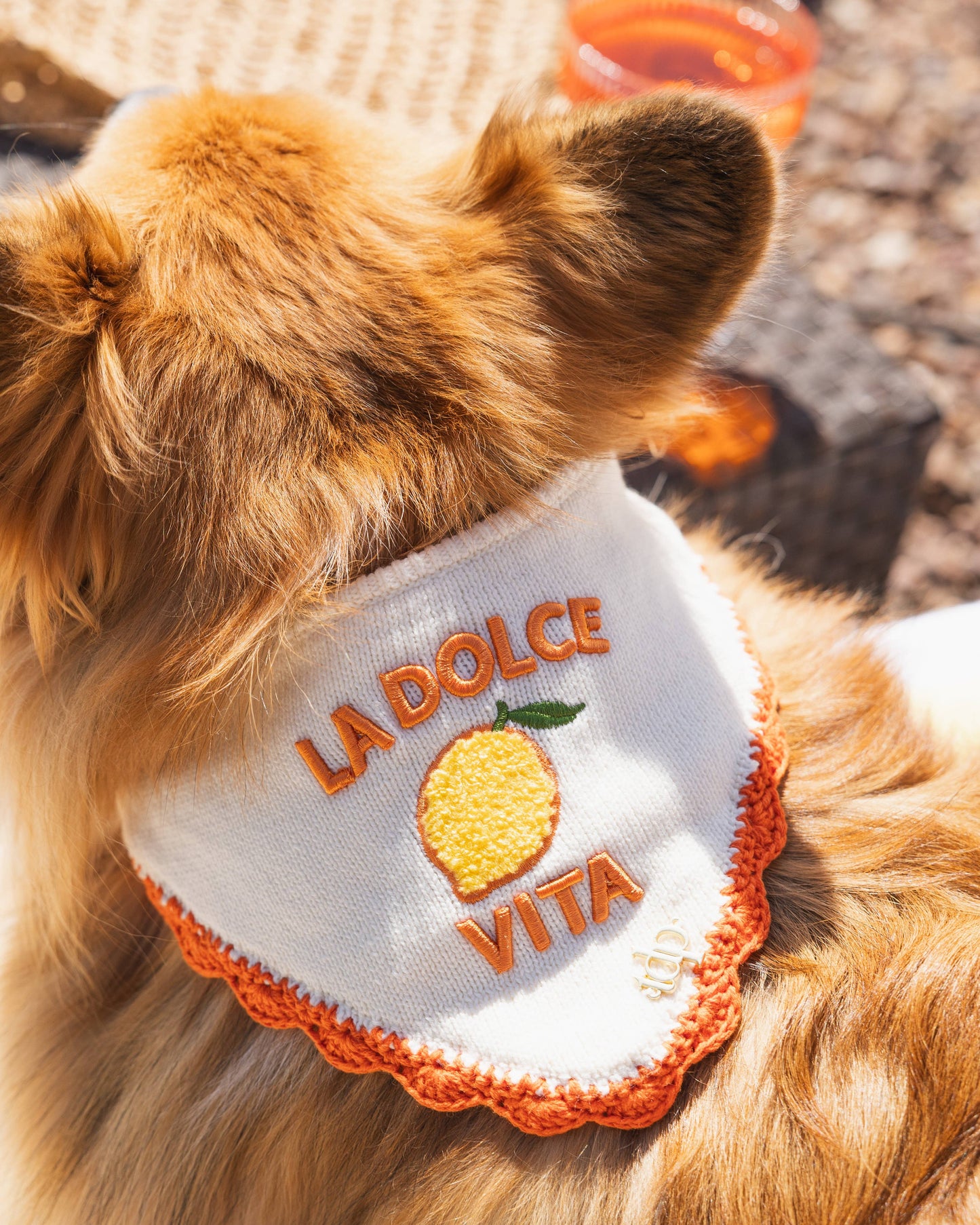 BANDANA | SÜSSES LEBEN: Mittelgroße