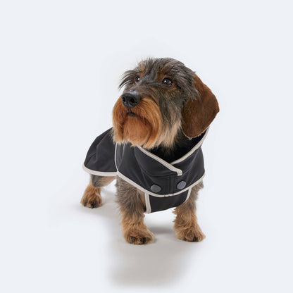 Hundemantel Dackel Softshell Handarbeit