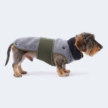 Lodenmantel mit ausknöpfbarem Fleece für Dackel und kleine Hunde
