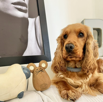 Tato Latexspielzeug für Hunde und Katzen