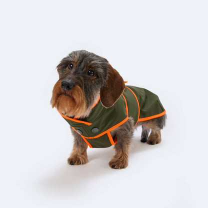 Hundemantel Dackel Softshell Handarbeit