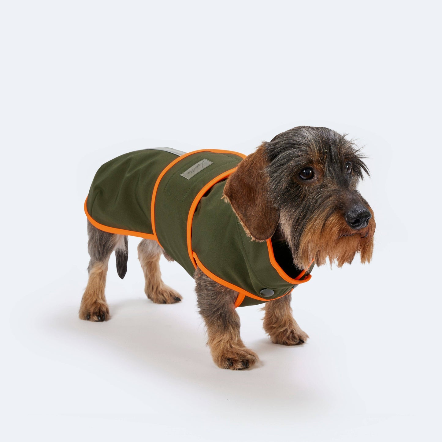 Hundemantel Dackel Softshell Handarbeit