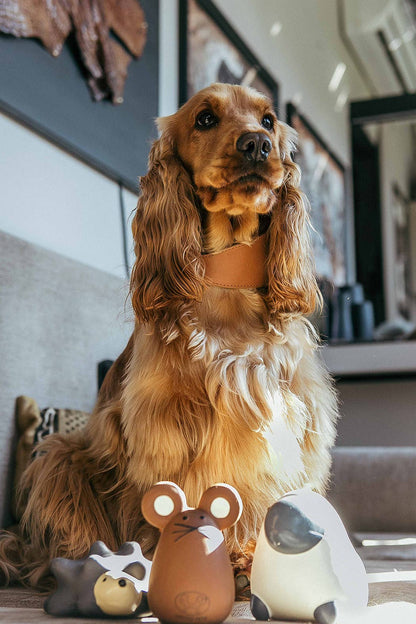 Tato Latexspielzeug für Hunde und Katzen