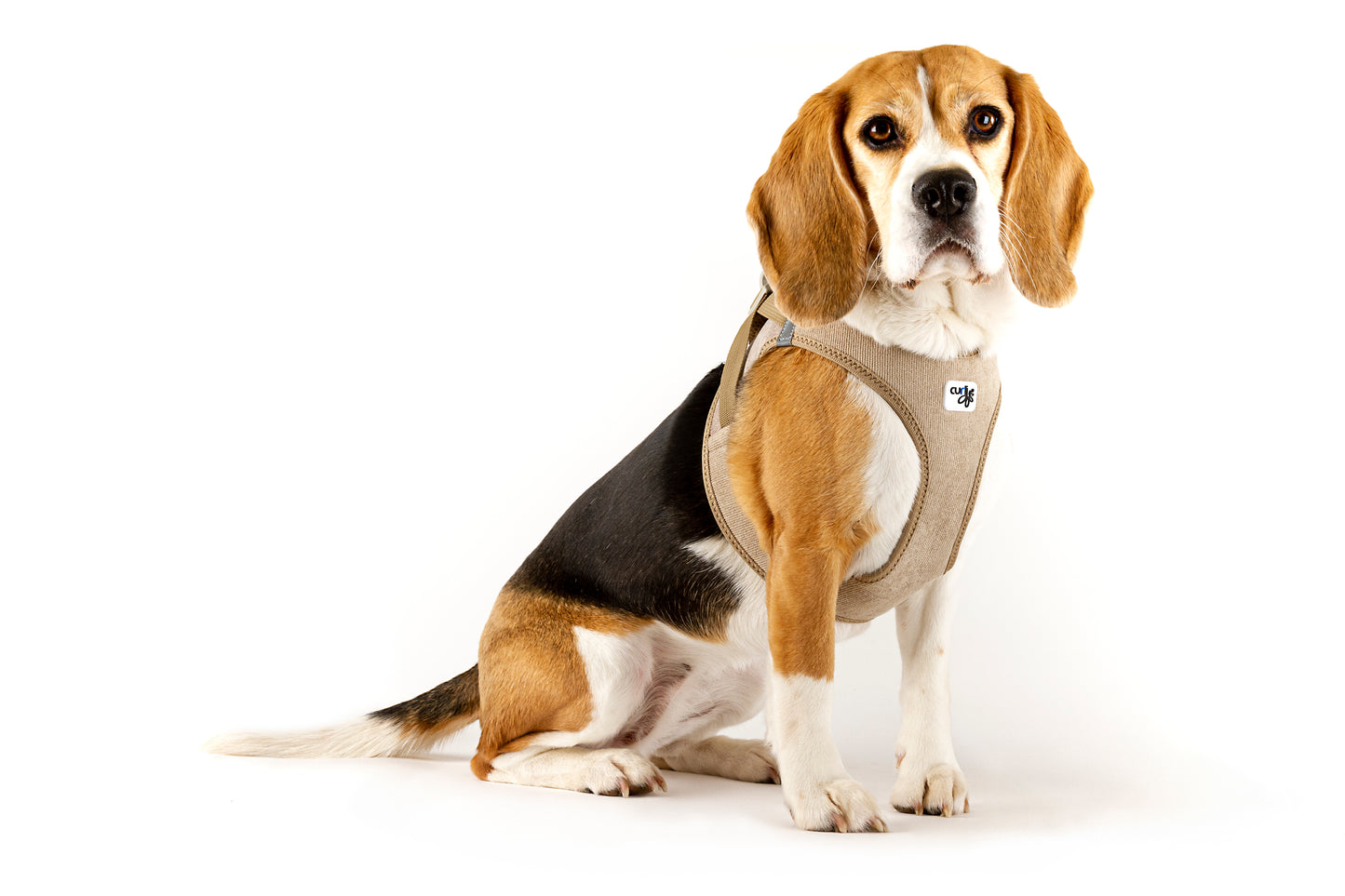 Cord Clasp Vest Hundegeschirr – Farbe Tan