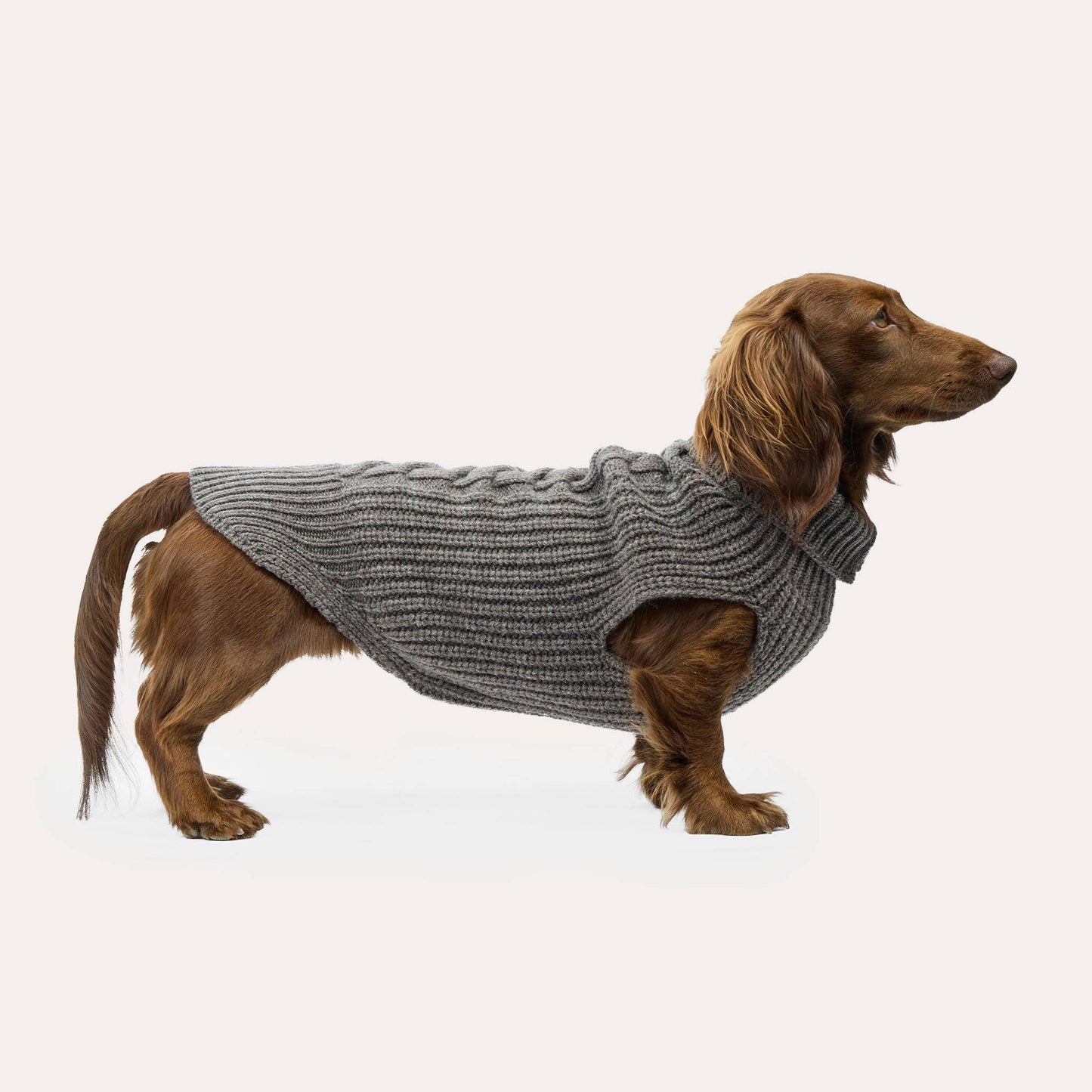 Weibchen Hundestrickpullover