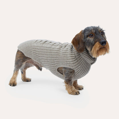 Cashmere Hundestrickpullover