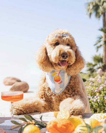 Bandana | Spritz & Streifen