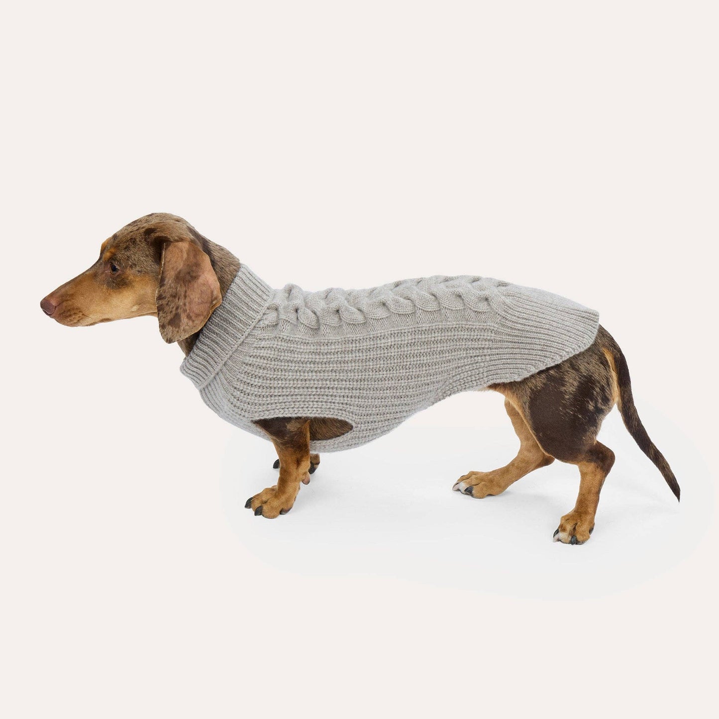 Cashmere Hundestrickpullover