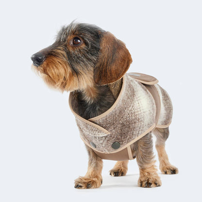Hundemantel Loden Softshell Karo braun