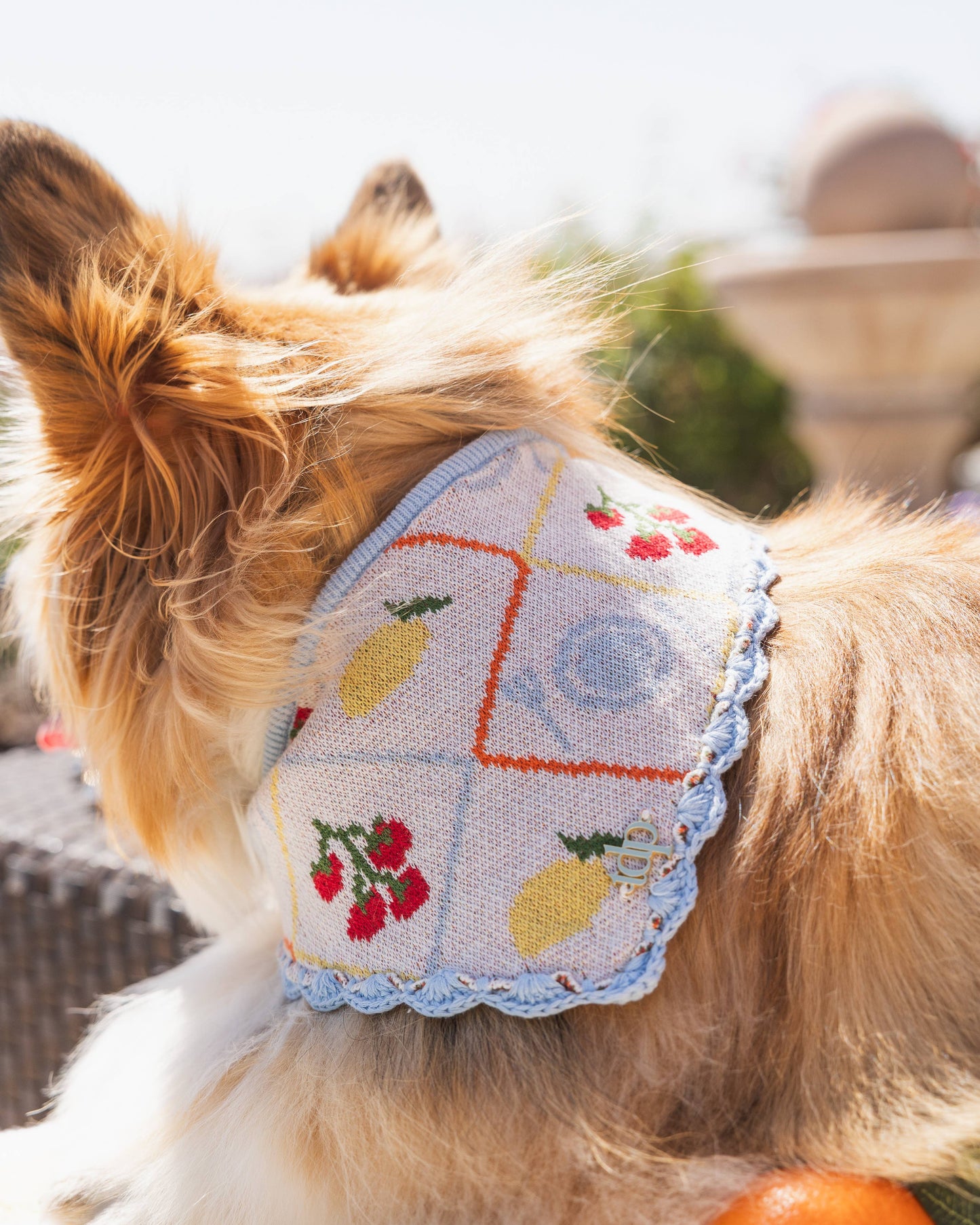 Bandana | Amalfi-Markt: Extra extra klein