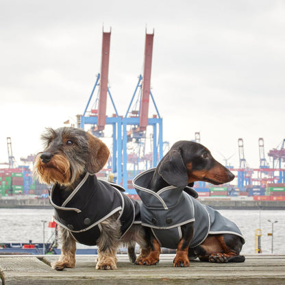 Hundemantel Dackel Softshell Handarbeit