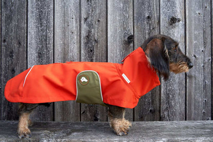 Dackel-Regenmantel Cooper in Pumpkin Orange