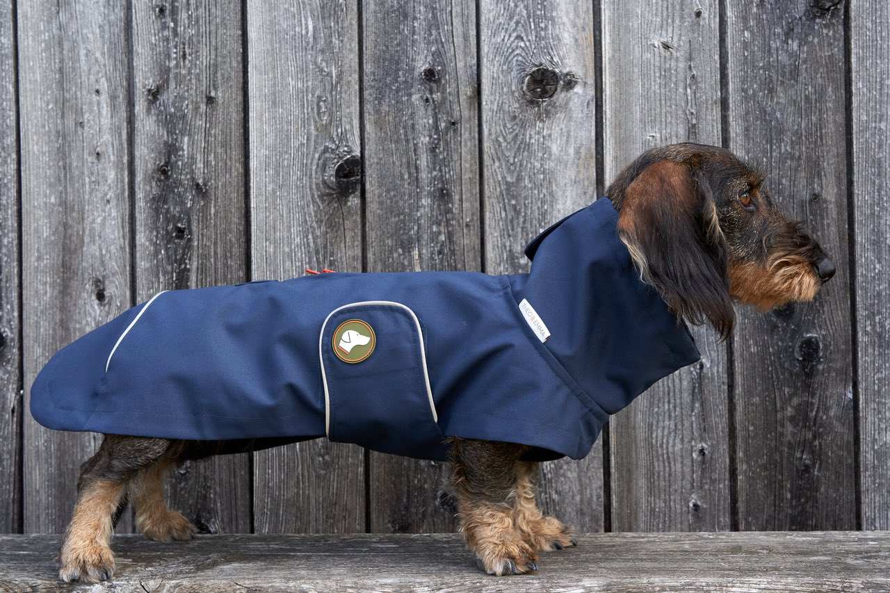 Dackel-Regenmantel Cooper in Navy Blau