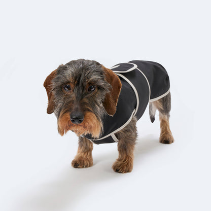 Hundemantel Dackel Softshell Handarbeit