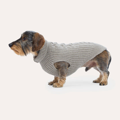 Cashmere Hundestrickpullover