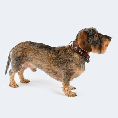 Hundehalsband Leder Dackel dunkelbraun/ cognac