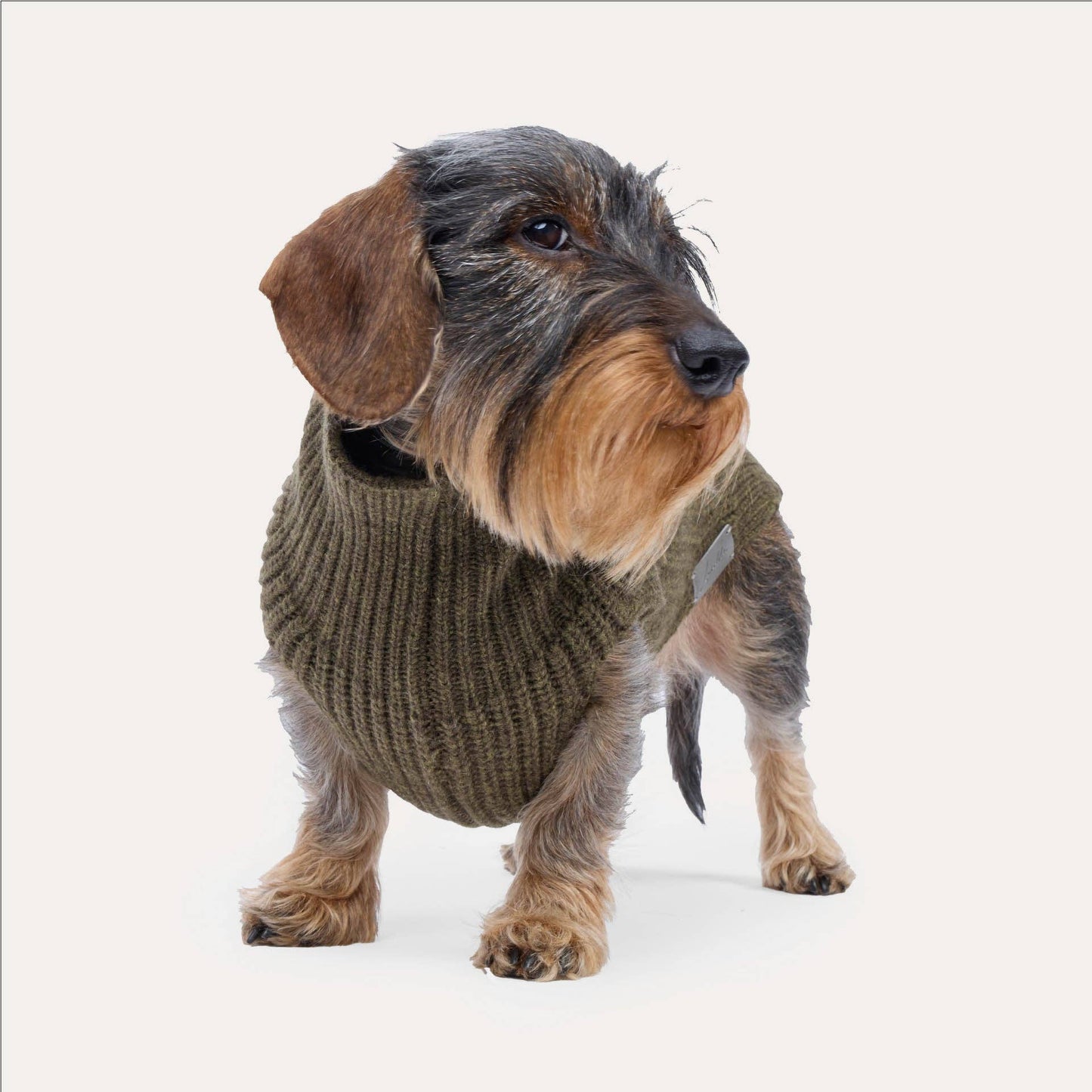 Hundestrickpullover oliv