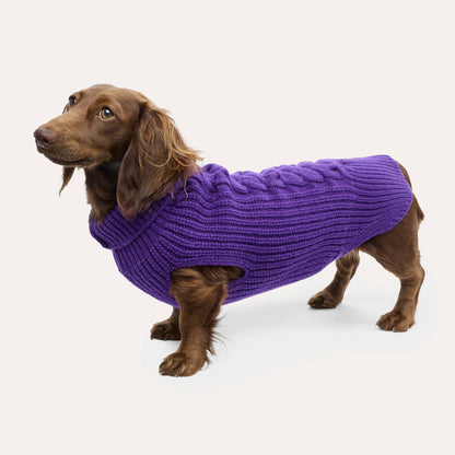 Weibchen Hundestrickpullover