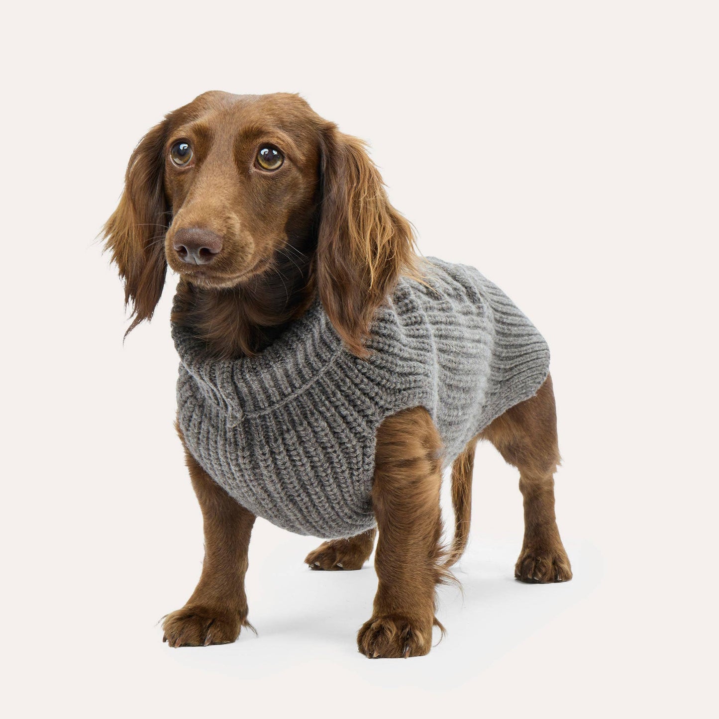Weibchen Hundestrickpullover