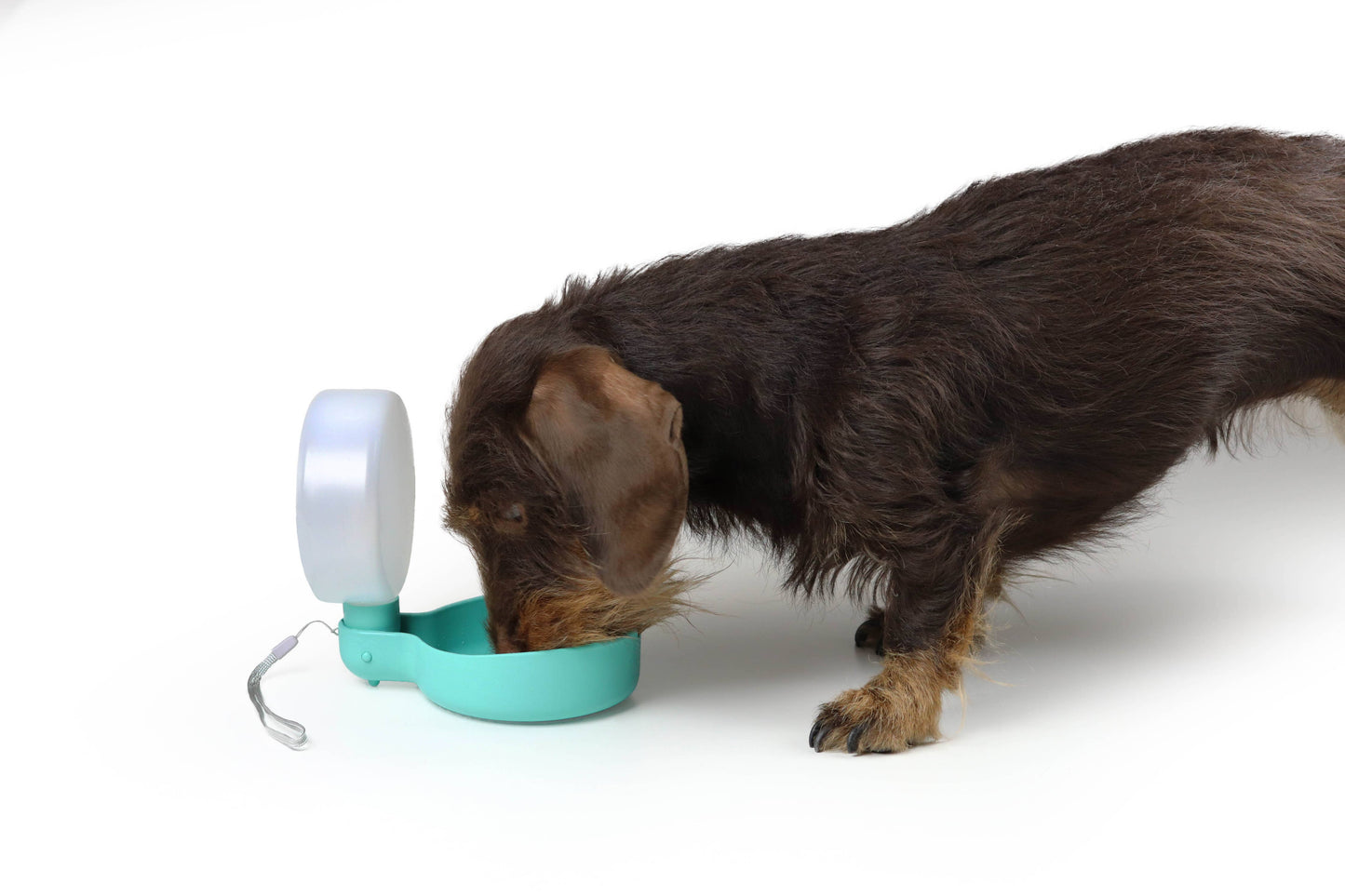 Designer-Reiseflasche für Hunde mit Tropfventil