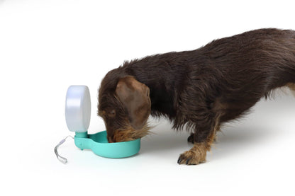 Designer-Reiseflasche für Hunde mit Tropfventil