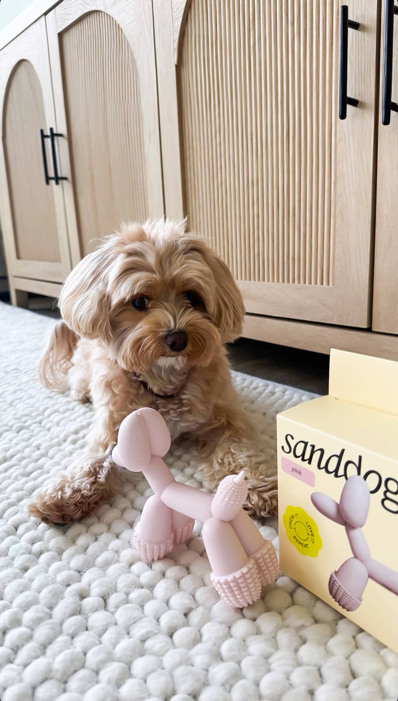 HUNDE-SPIELZEUG | KUNST-BALLON | ROSA | SANDDOG