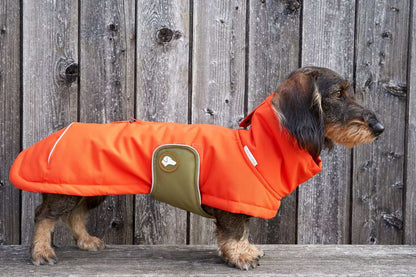 Dackel-Wintermantel Oskar in Pumpkin Orange: Orange / 4 | 44-49cm