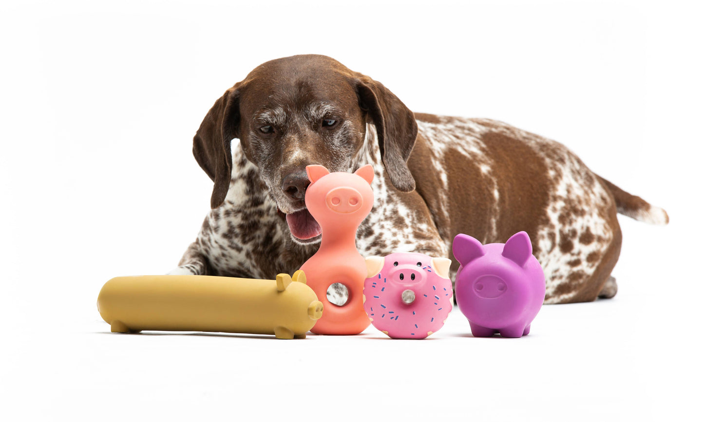 Latexspielzeug für Hunde und Katzen in süßer Schweineform